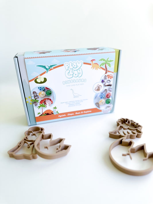 Mini Luxe Box | Dinosaurs
